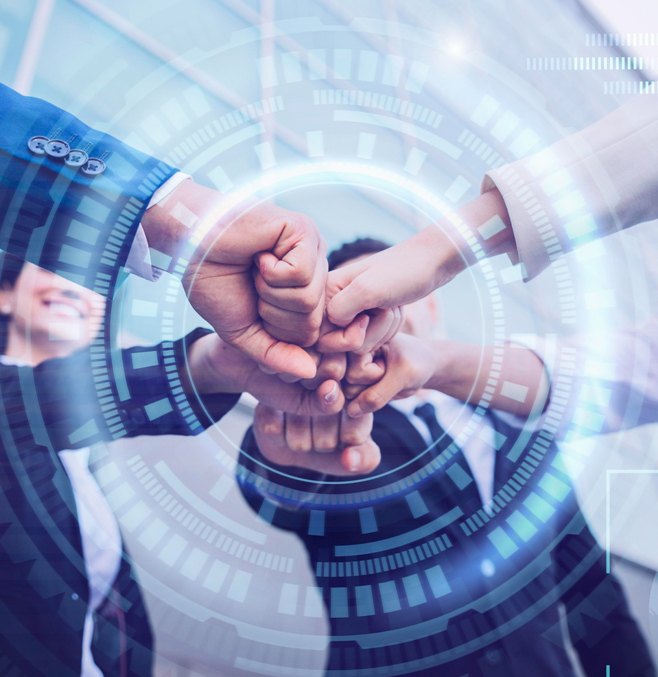 About Net Softlinks Company