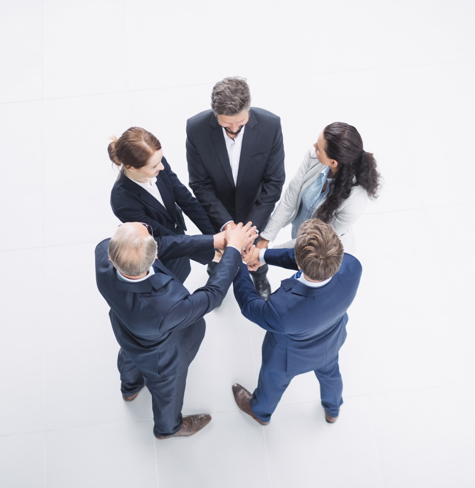 About Net Softlinks Company