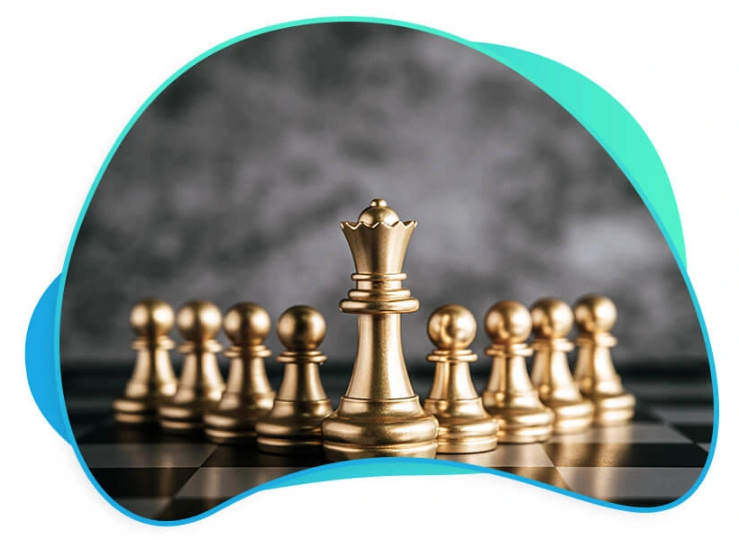 About Net Softlinks Company